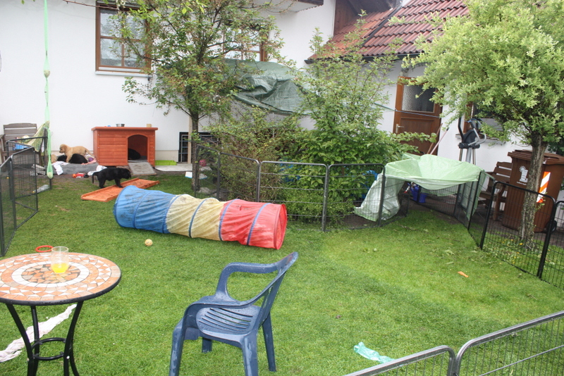 1-IMG_6477