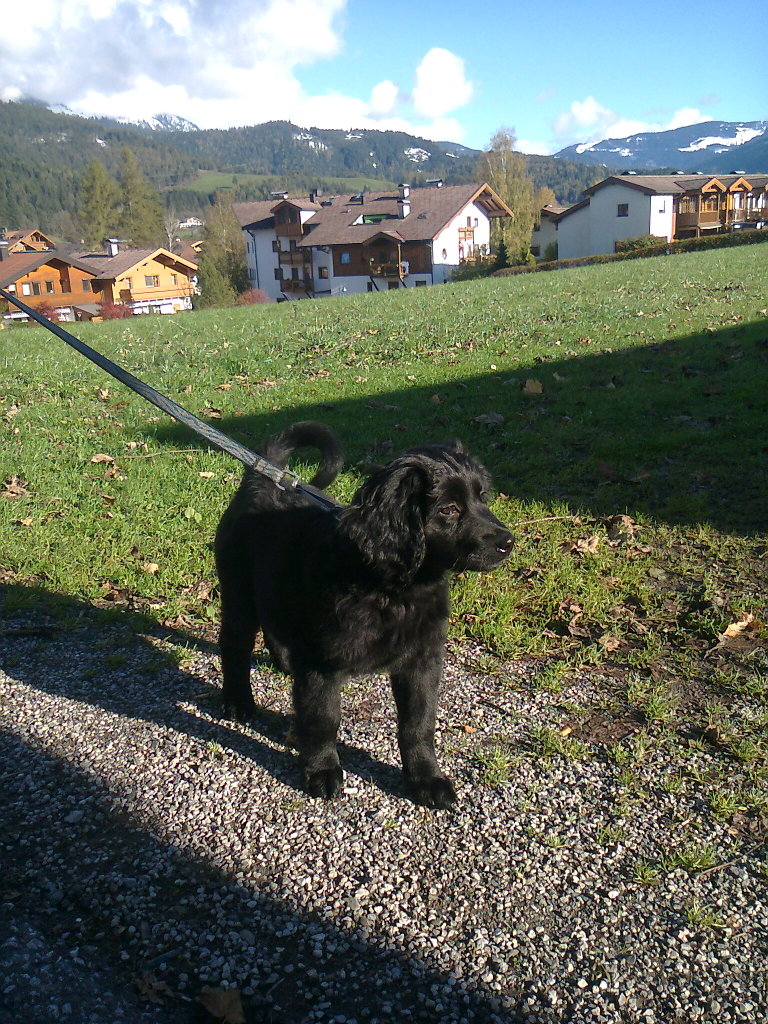 1-Foto0757